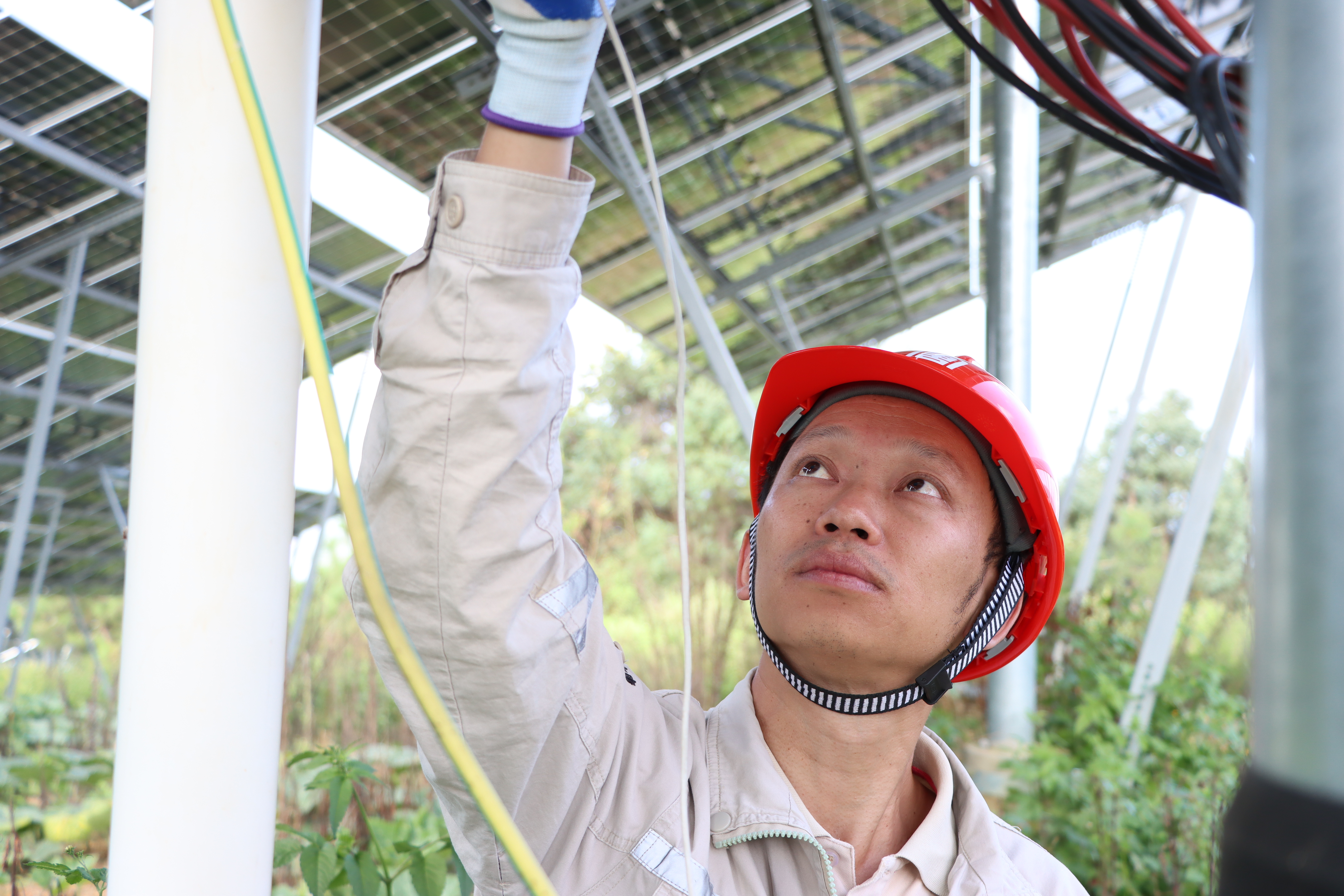 1729490883763015059.jpg 【奋斗的大唐人】滇西新能源事业部:场站的出色管理者 (2).jpg